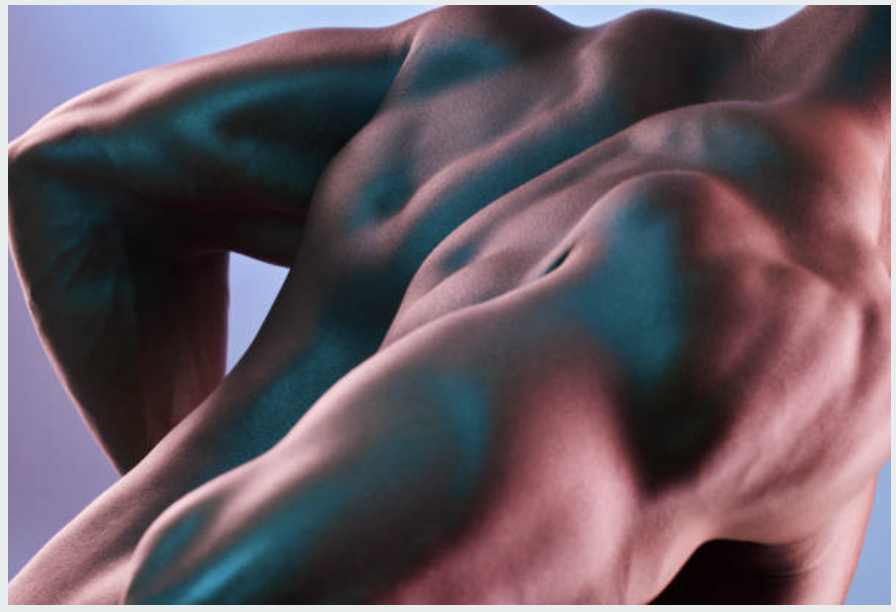EMsculpt Neo treatment showing muscle building and fat reduction benefits